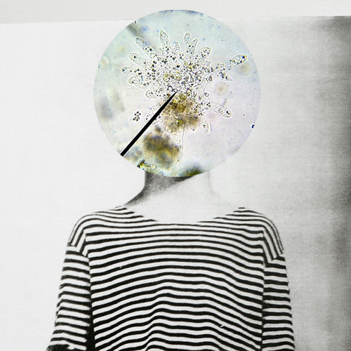 ts_amoeba acoustic amoeba