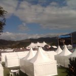 img00134-20100502-15101