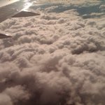 img00239-20100510-14003