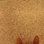 img00242-20100510-14373