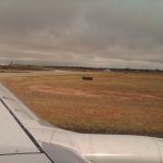 img00286-20100513-12243