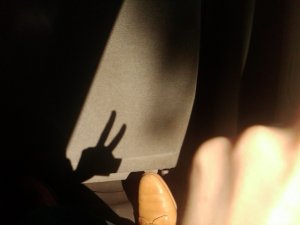 img00292-20100513-1410