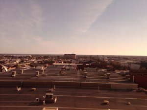img00293-20100513-1539