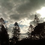img00317-20100514-1731