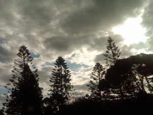 img00317-20100514-1731