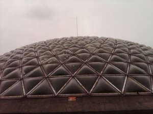 img00443-20100522-1655