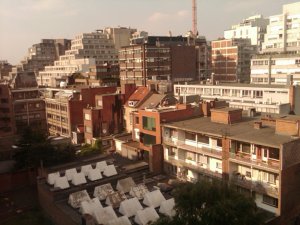img00611-20100623-1833