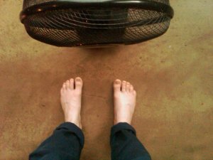 img00639-20100712-1949