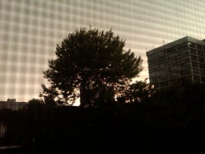 img00643-20100712-1951
