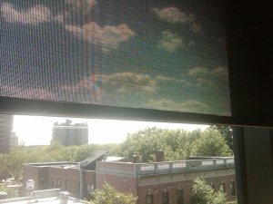 img00687-20100726-1520