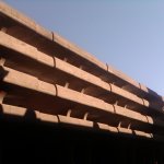 img00688-20100726-1721