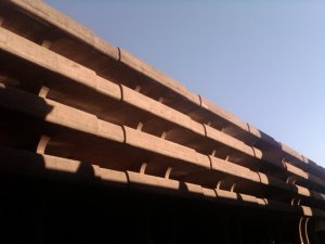 img00688-20100726-1721