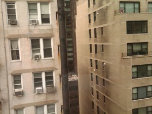 img00727-20100805-1134