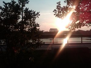 img00907-20100819-2005