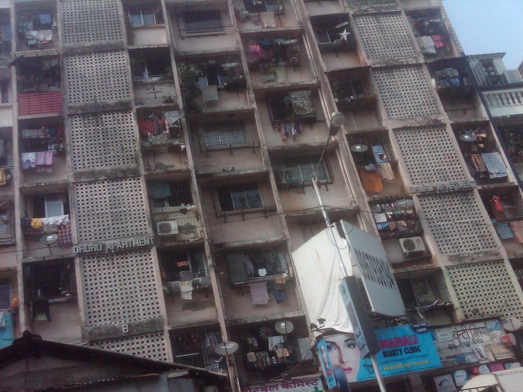 IMG00198-20101120-1259