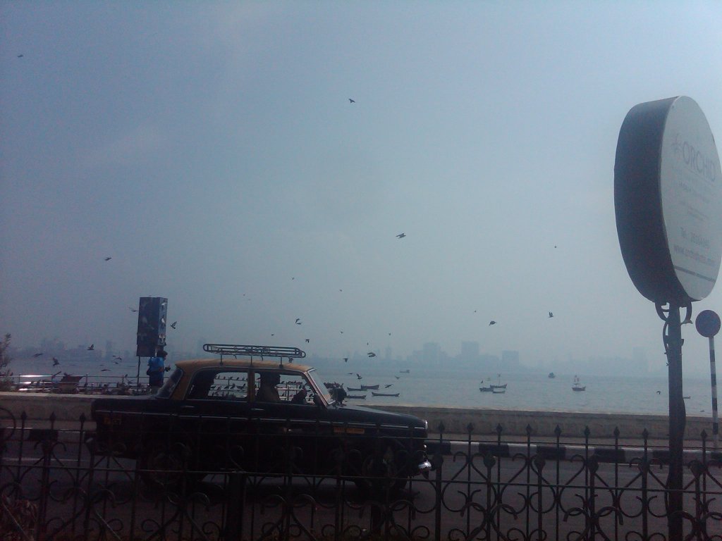 IMG00210-20101120-1334