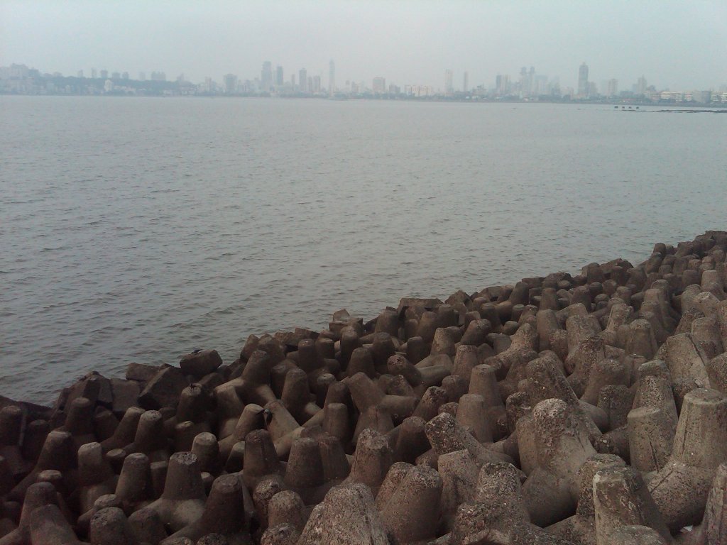 IMG00217-20101120-1652