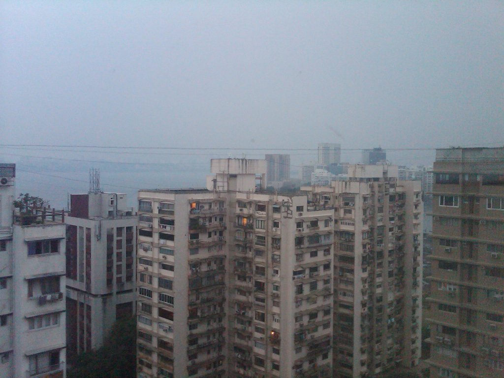 IMG00232-20101120-1758