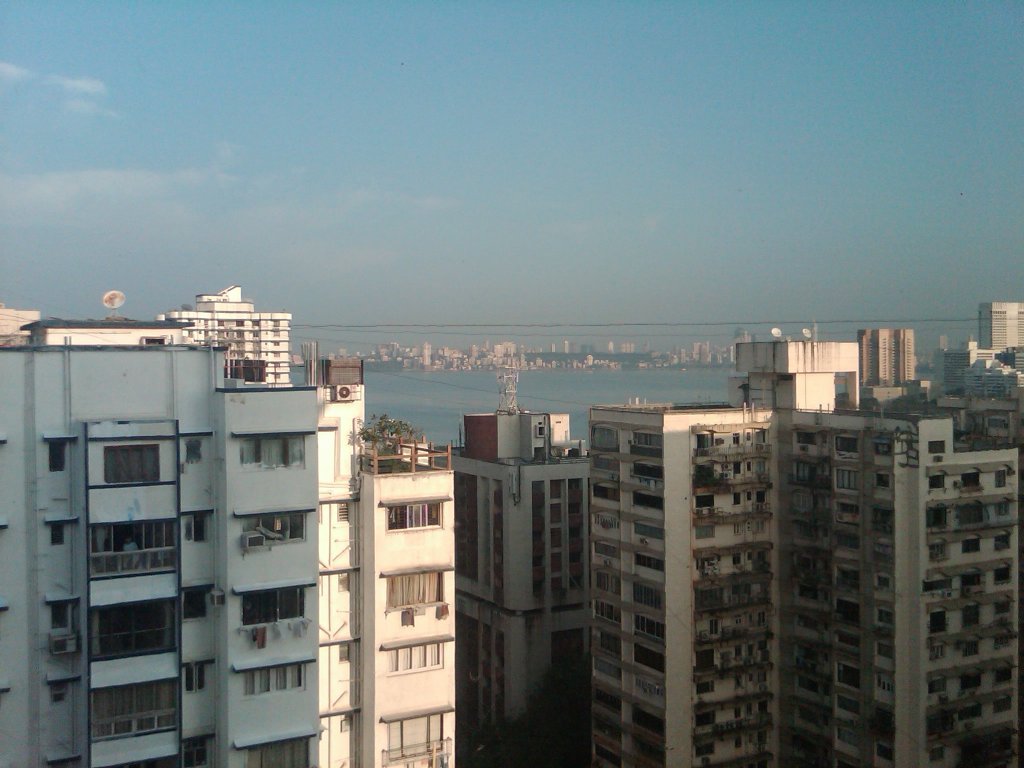 IMG00305-20101122-0746
