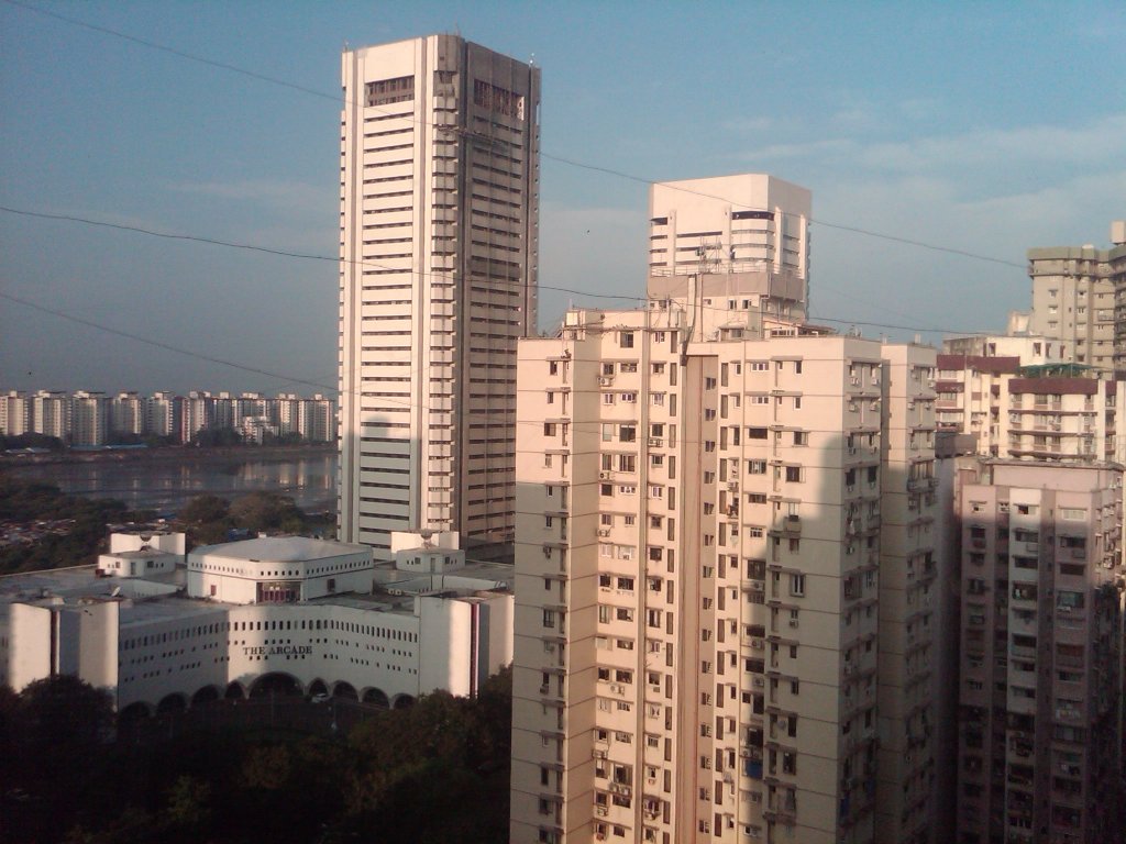 IMG00306-20101122-0746