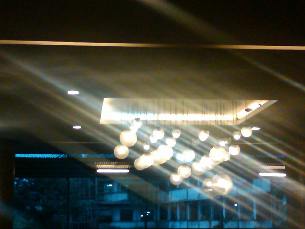 IMG00378-20101122-1735