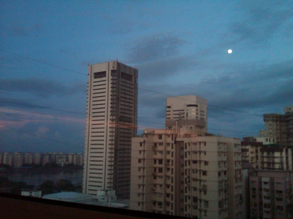 IMG00384-20101123-0643