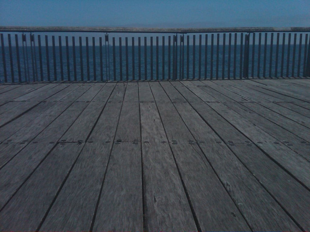 IMG00526-20101128-1322