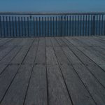IMG00526-20101128-1322