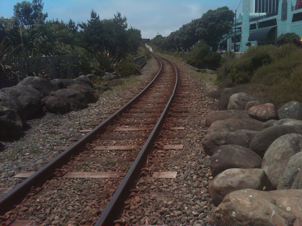 IMG00528-20101128-1324