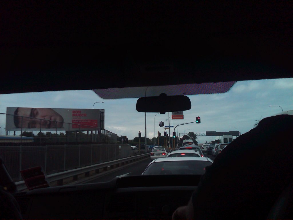 IMG00558-20101203-0945