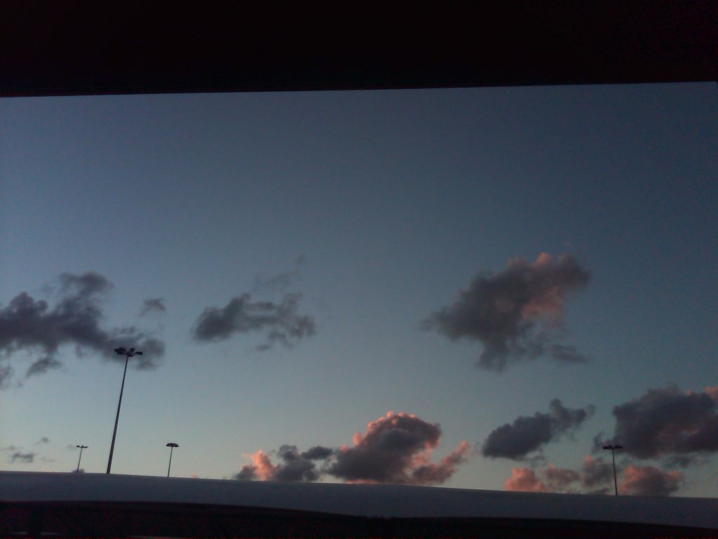 IMG00569-20101203-1904