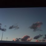 IMG00569-20101203-1904