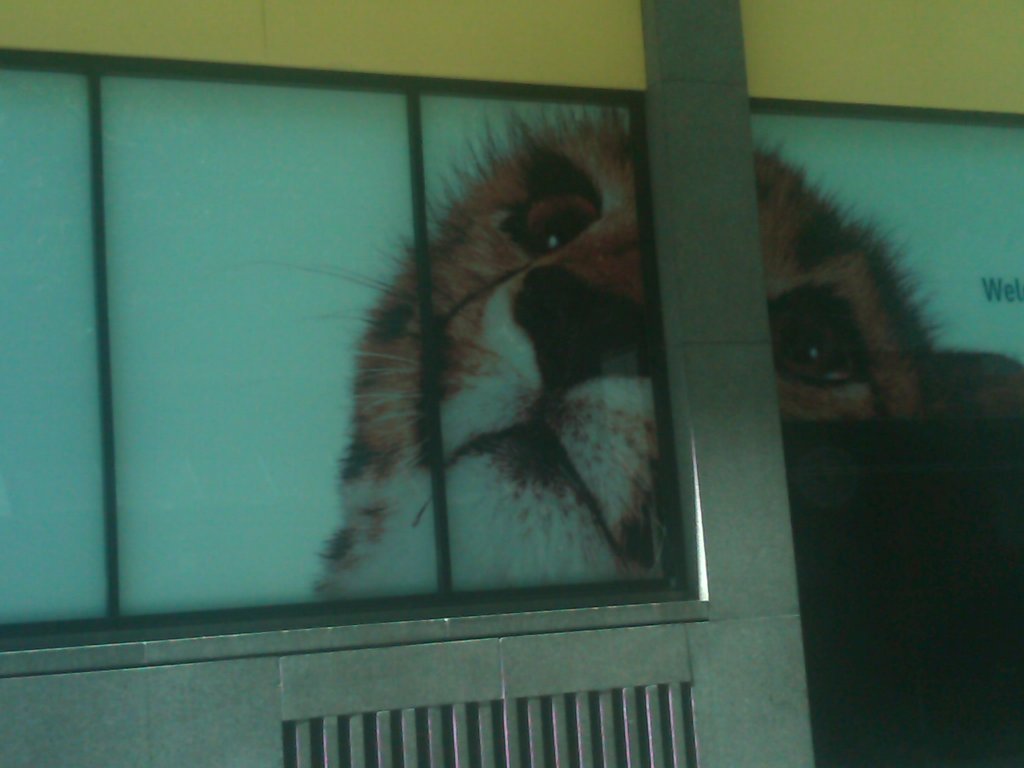 IMG00676-20101211-1602