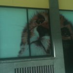 IMG00676-20101211-1602