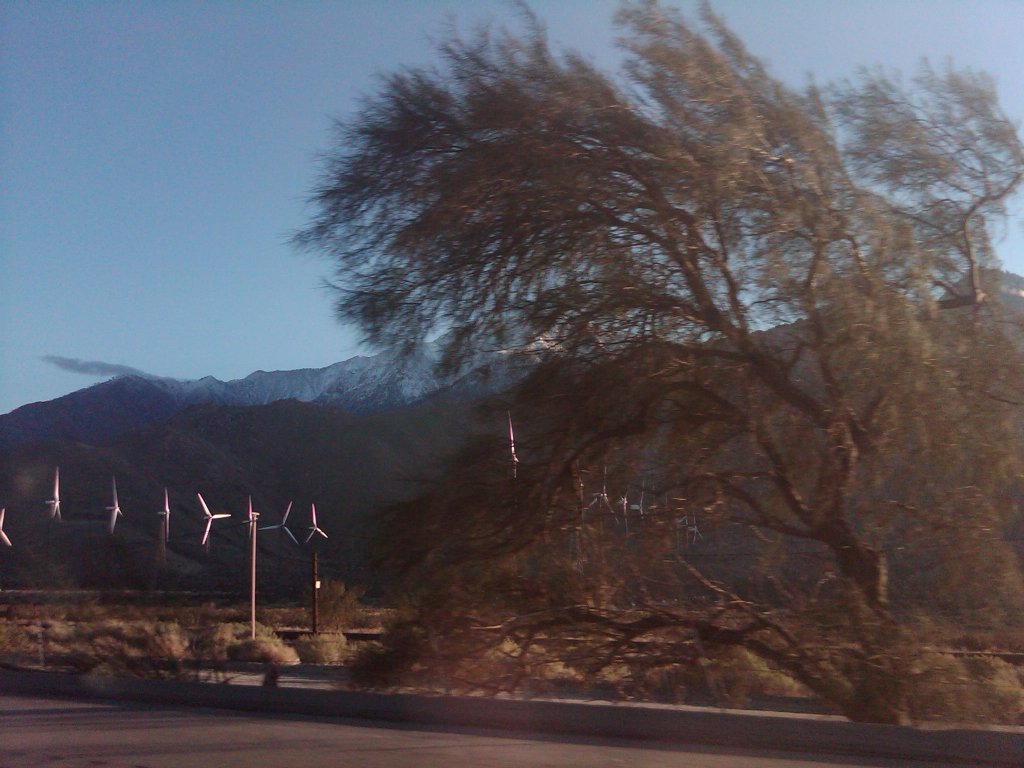 IMG00776-20101223-1552