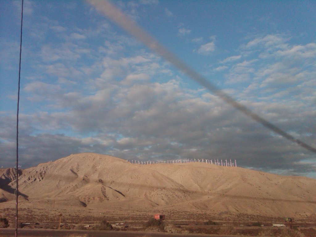 IMG00779-20101223-1554
