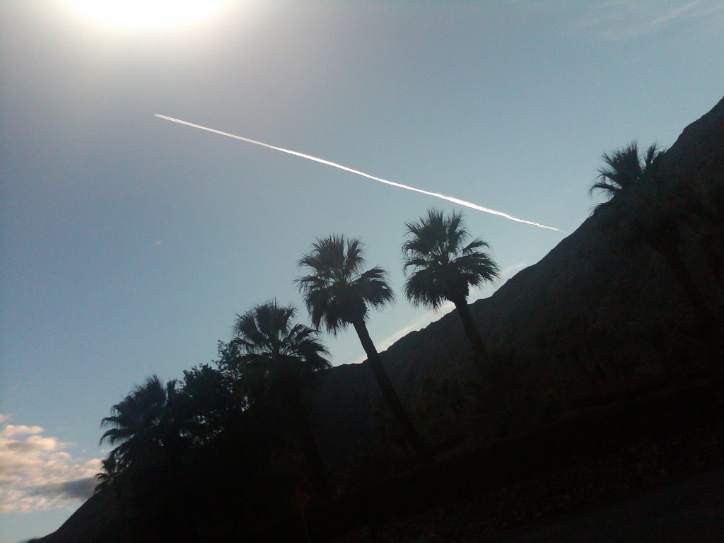 IMG00784-20101223-1612
