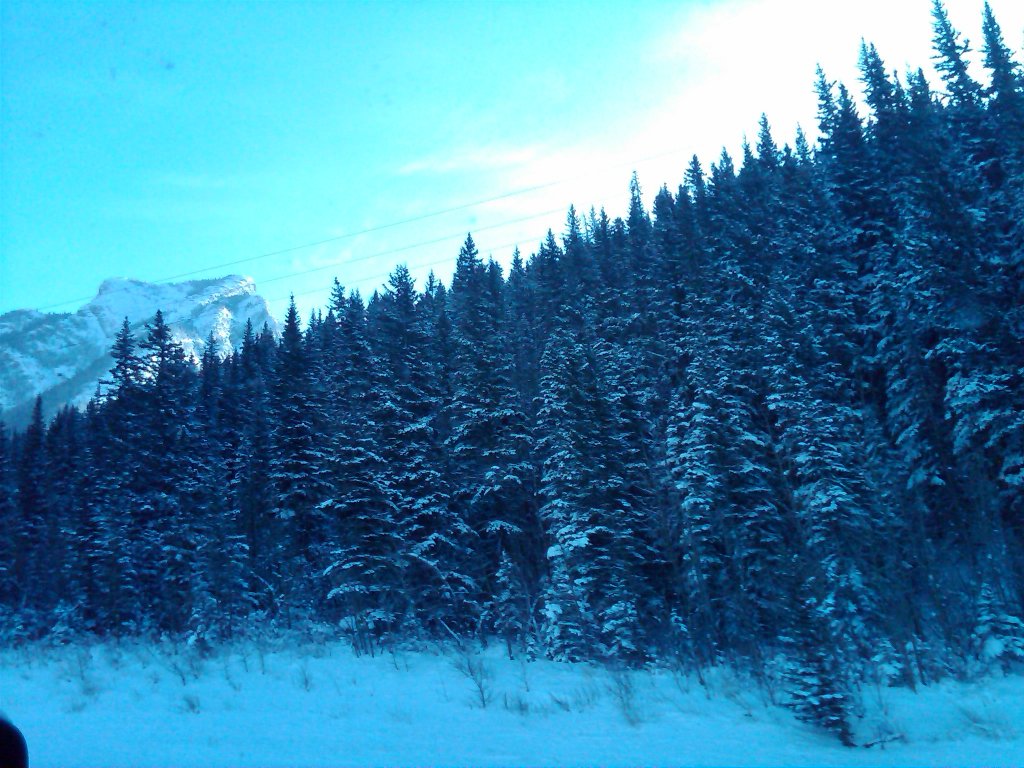 IMG00969-20101230-1209