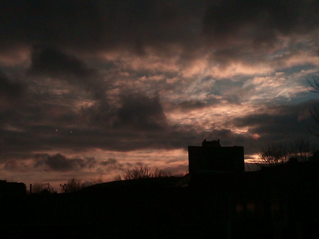 IMG01033-20110102-1558
